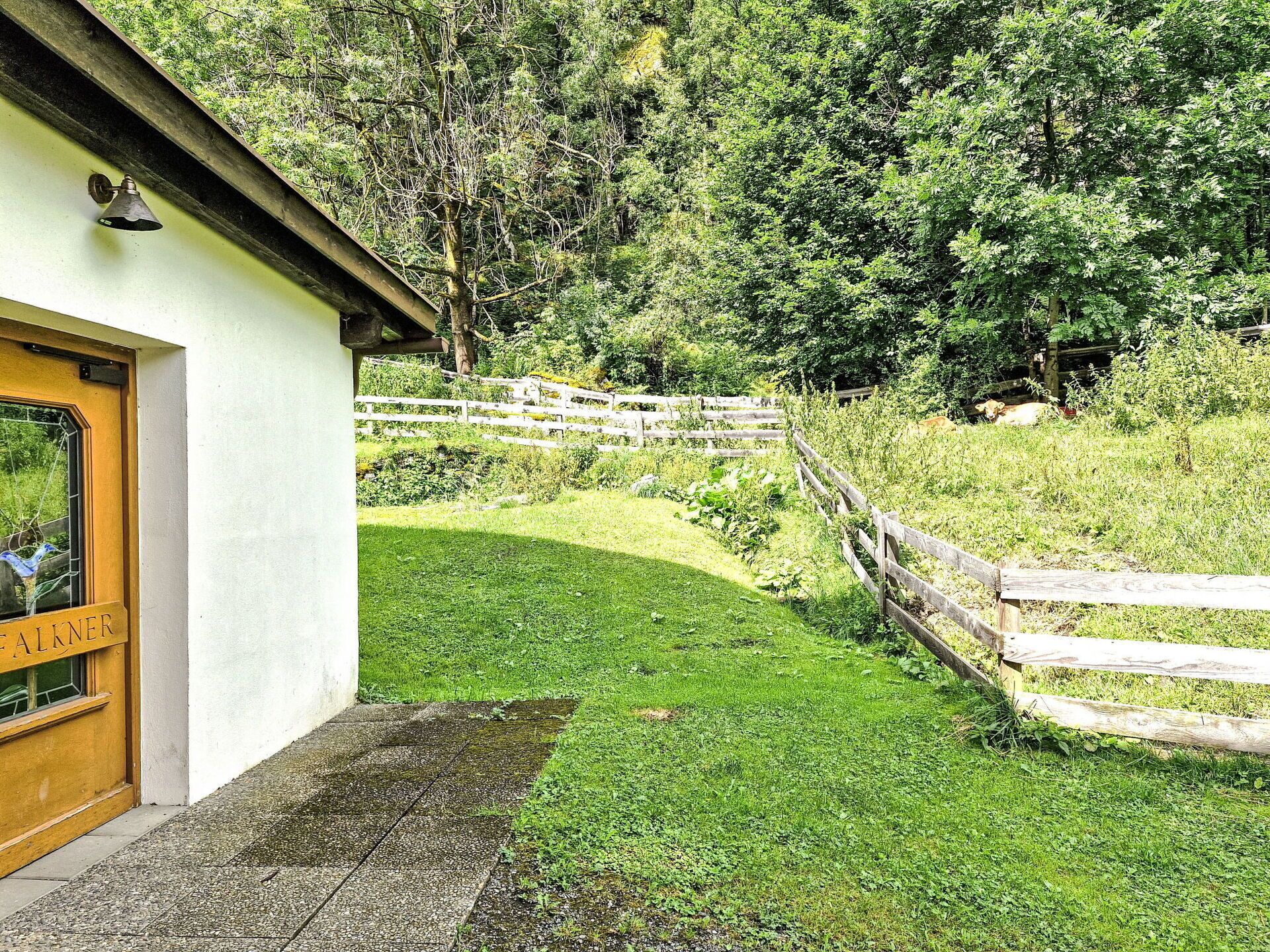 Gras, Strauch, Ländliches Gebiet, Hütte, Ground, Garten, Rasen, Wiese, Landscaping, Garten