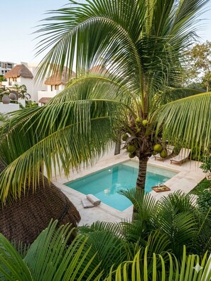 Outdoor pool - Tua Tulum 4/ Spacious Jungle Retreat - Fast WIFI (Tulum)