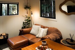 Smart TV, fireplace, books, stereo