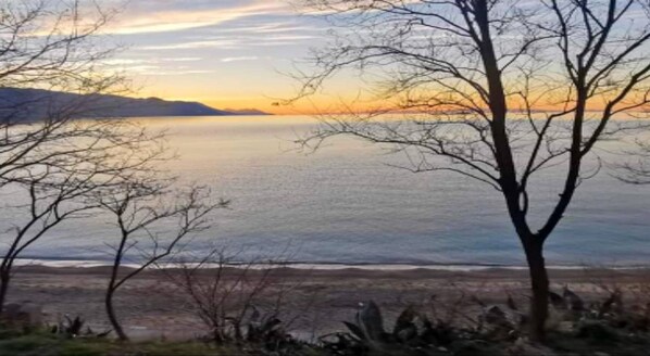 Une plage bordée d’arbres et une mer calme au coucher du soleil.