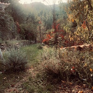 المنطقة المحيطة بالمنشأة