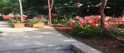 Overnattingsstedets uteområder