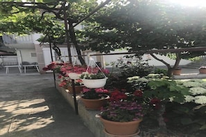 Parco della struttura