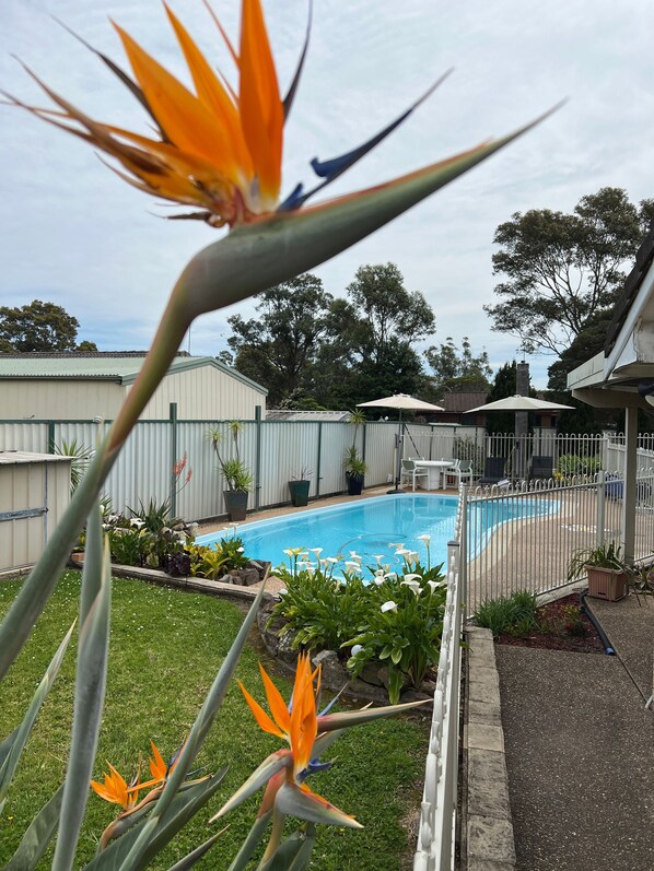 Room, 1 Bedroom, Garden View | Garden