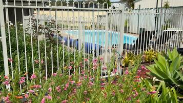 Room, 1 Bedroom, Garden View | Garden