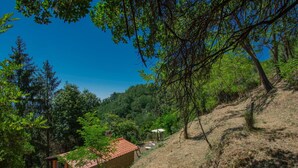 A rustic cabin with a tiled roof, surrounded by dense forest and a clear blue sky.