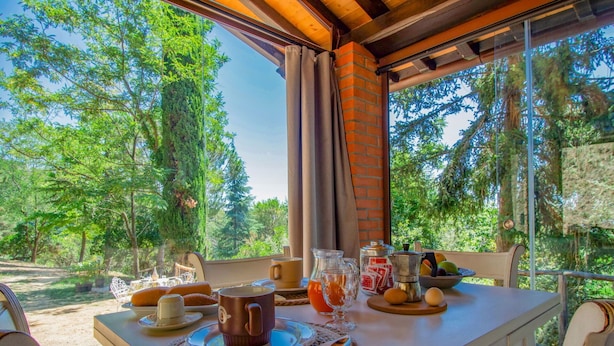 A dining table set with various breakfast items, including eggs, bread, and beverages, in a room with a view of a forest.