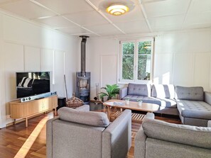 TV, fireplace