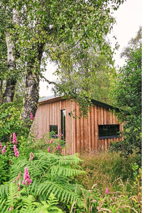 المنطقة المحيطة بالمنشأة