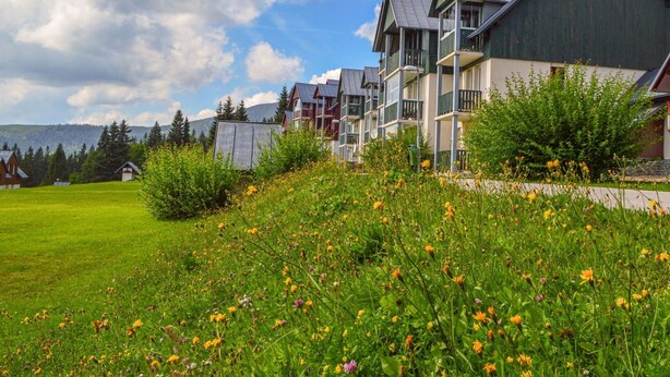 Une rangée d’immeubles modernes à plusieurs étages, dotés de balcons, est entourée d’un champ verdoyant où poussent de nombreuses fleurs sauvages.