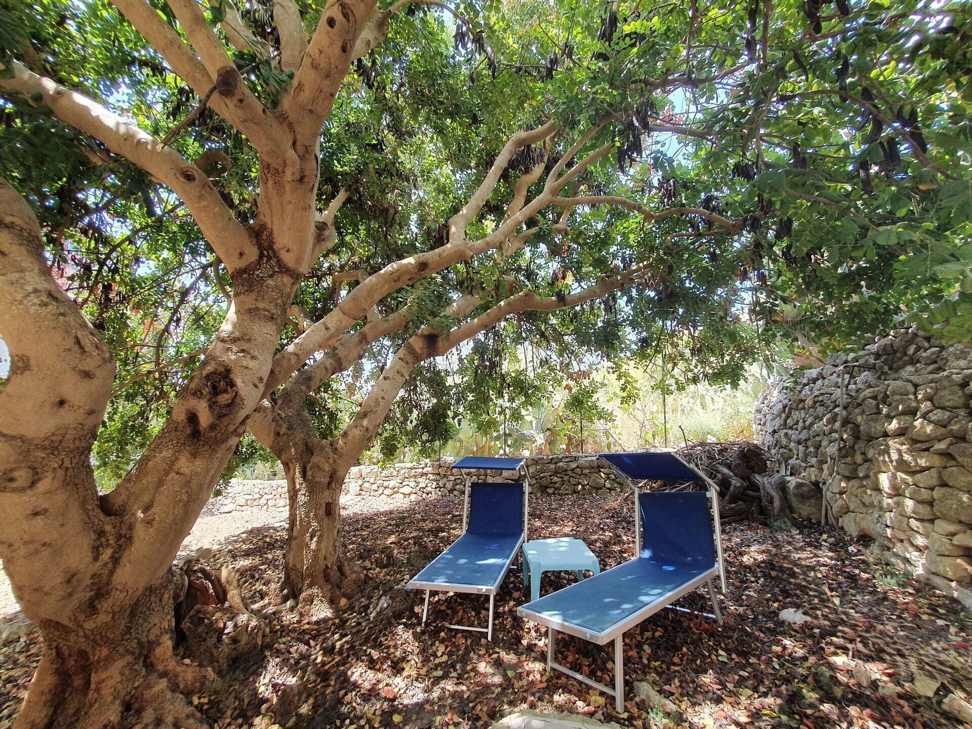 Parco della struttura