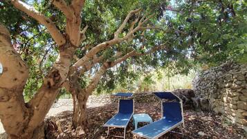 Parco della struttura