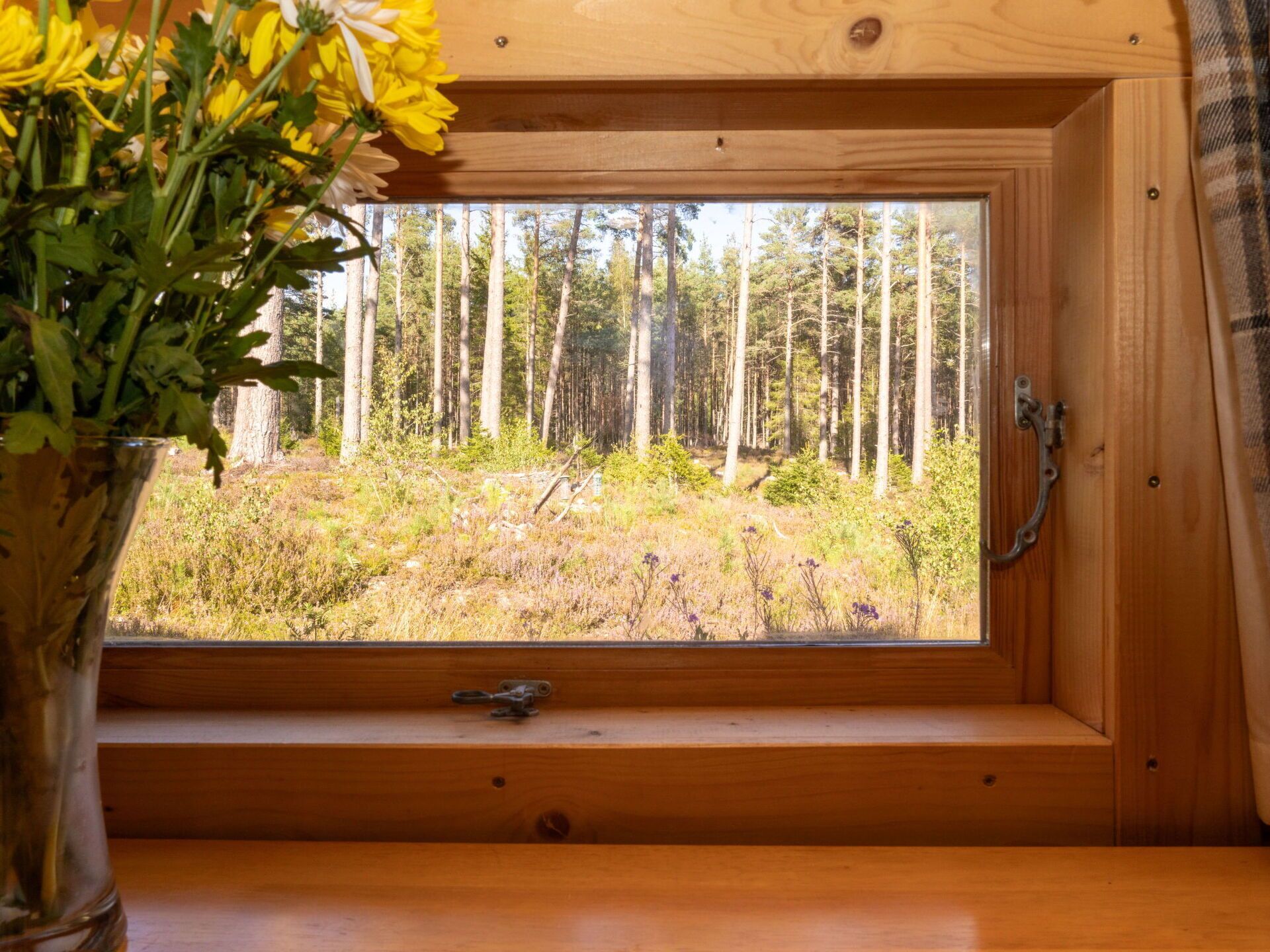 المنشأة من الداخل