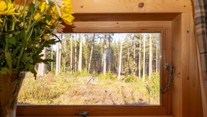 A wooden window with a view of a forest.