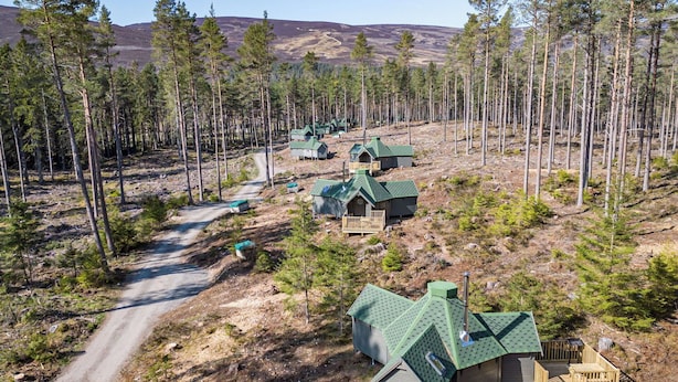 A remote cabin area with multiple cabins, a dirt road, and surrounding forest.