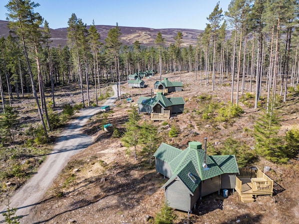 A remote cabin area with multiple cabins, a dirt road, and surrounding forest.