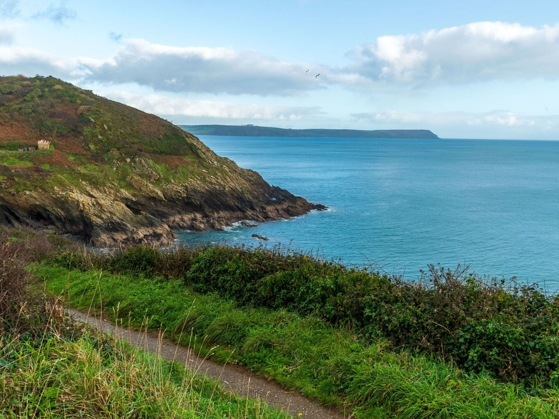 A coastal landscape with a grassy path leading to a rocky shoreline.