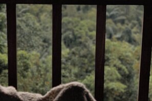 Pemandangan dari properti