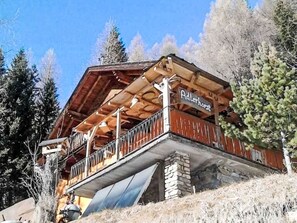 Exterior - Stunning private villa for 10 guests with WIFI, patio, pets allowed and panoramic view (Heiligenblut Am Großglockner)
