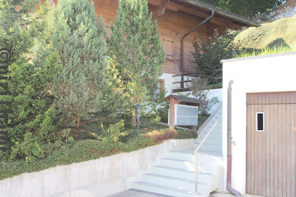 Strauch, Garten, Treppe, Immergrün, Landscaping, Lärche, Pine Familie