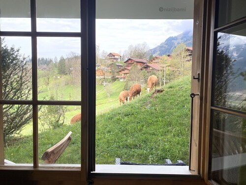 Herrliche Wohnung für 2 Leute mit  W-LAN, TV und Haustiere erlaubt