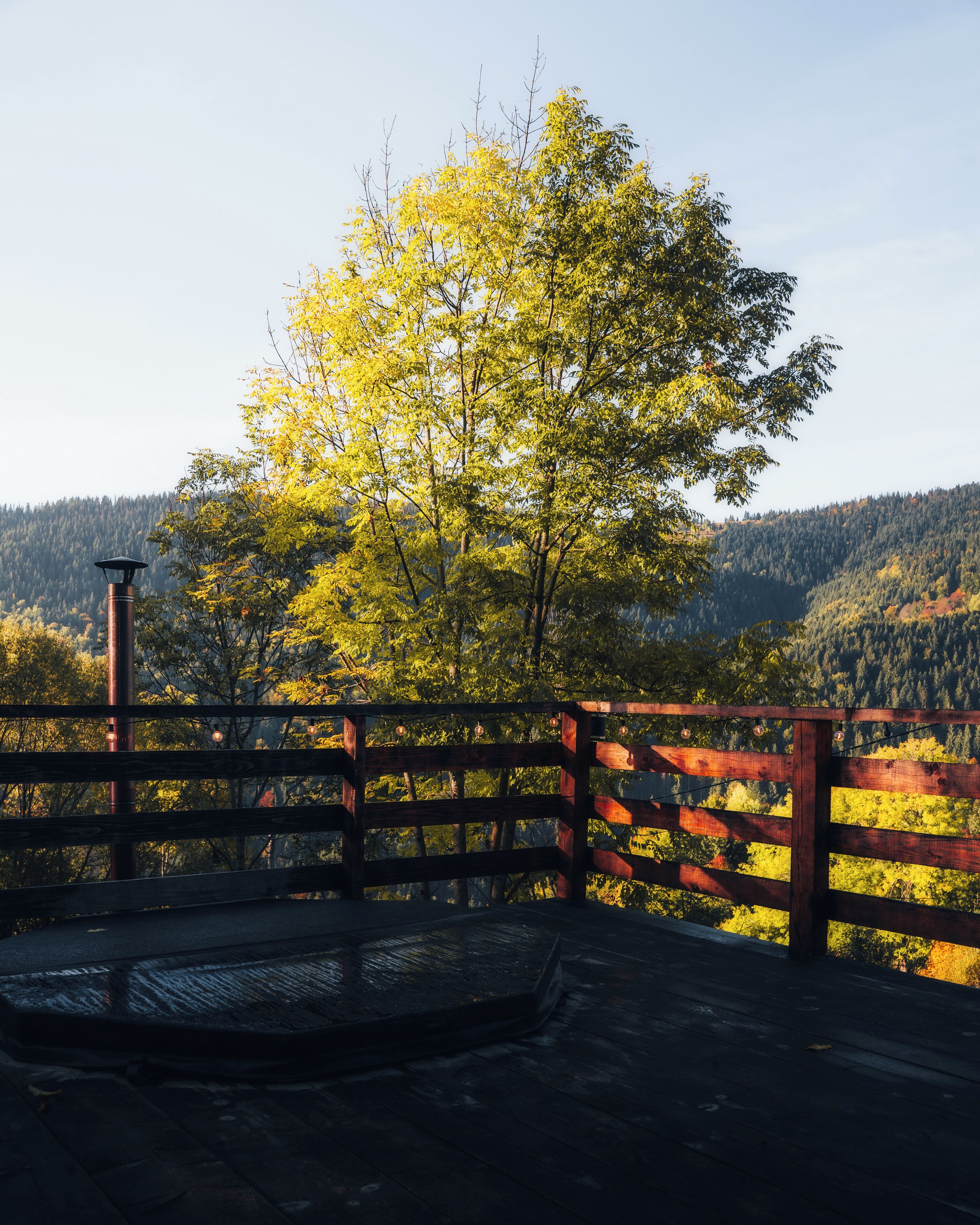 Eine Holzbrücke mit Metallgeländer, die zu einer Plattform mit Metalldach führt.