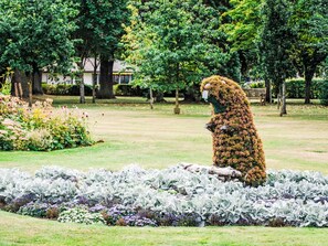 Terrain de lâhĂ©bergement