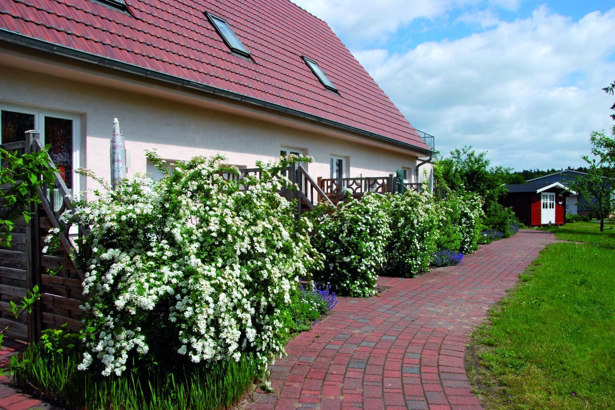 A house with a red roof, a brick pathway, and white flowering bushes.