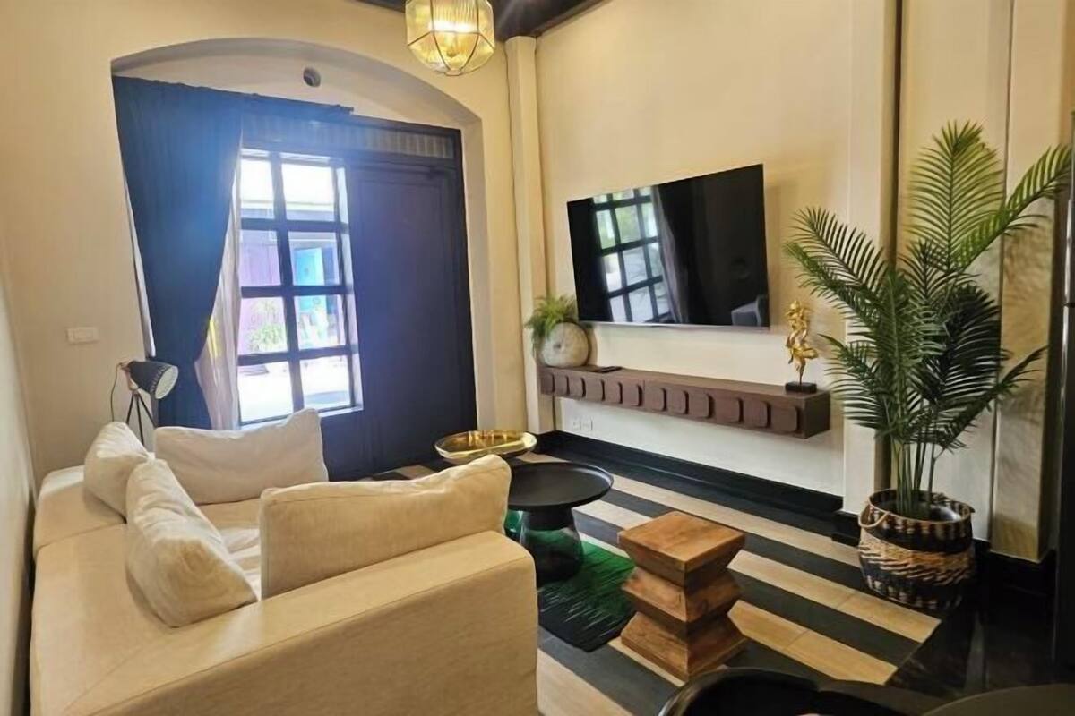 Un salón con un sofá, un televisor instalado en la pared, una planta en maceta y un alfombra a rayas.