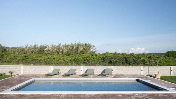 Une piscine rectangulaire, bordée d’une terrasse carrelée et entourée d’un petit muret en briques. Quatre chaises longues sont alignées le long du muret, et un arbuste avec des arbres se trouve en arrière-plan.