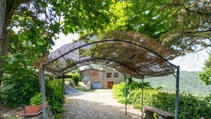 A rustic stone building with a gravel pathway leading to it, surrounded by lush greenery and a thatched roof structure.