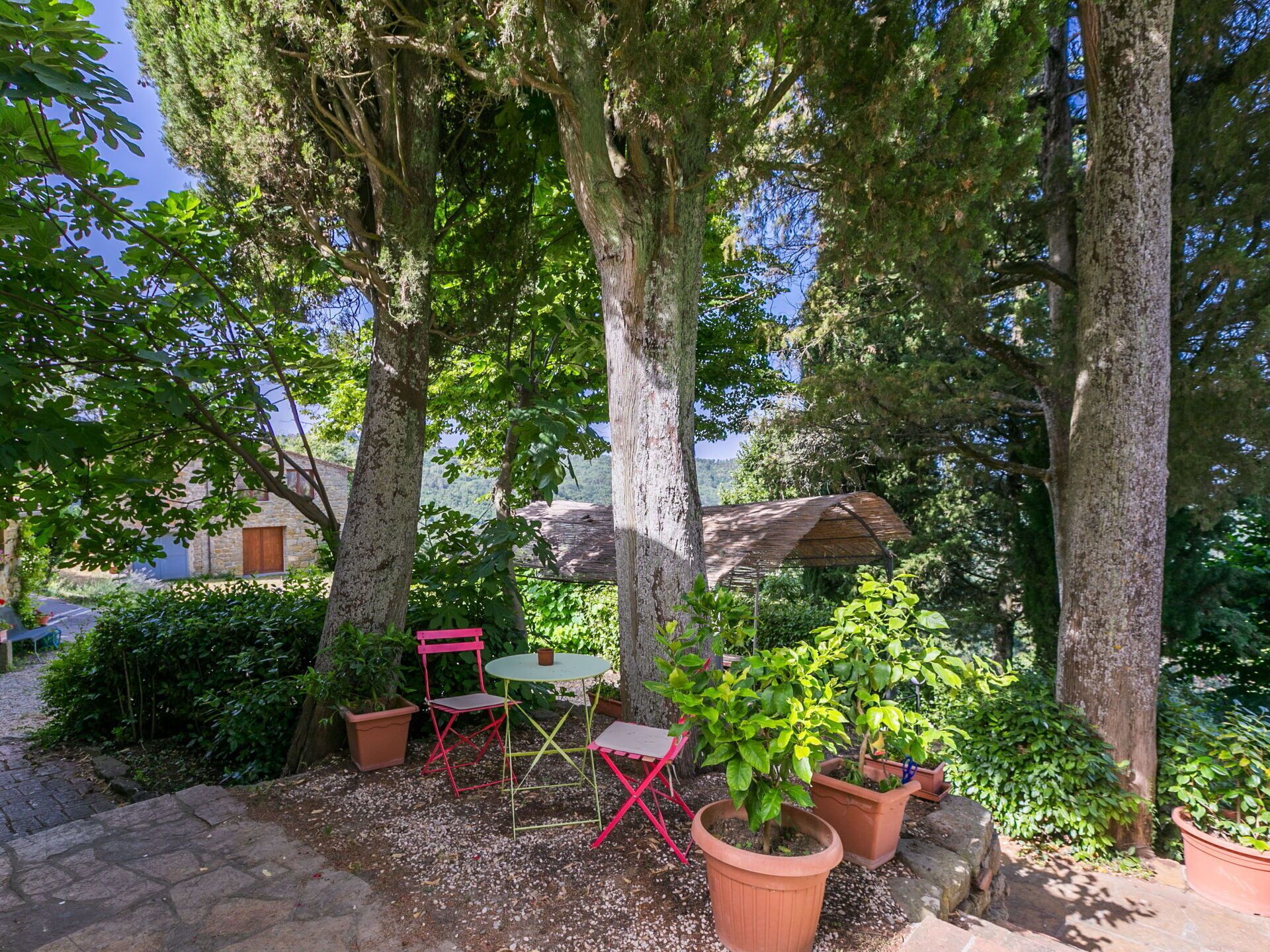 A patio area with a table and chairs, surrounded by potted plants and trees.