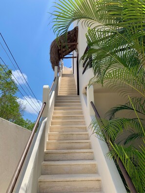 Terrain de l’hébergement 