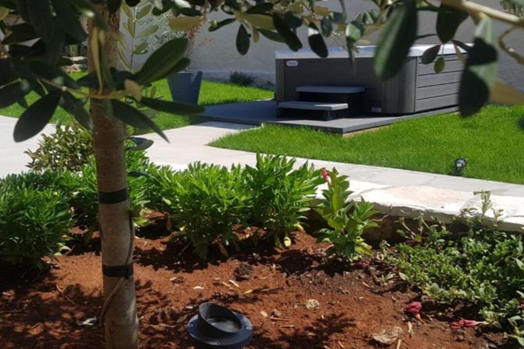 Un jardin avec un arbre, un barbecue et une zone dallée.