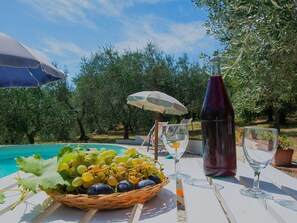 Pool - Stunning private villa for 6 guests with A/C, WIFI, private pool, TV, patio and pets allowed (Lajatico)