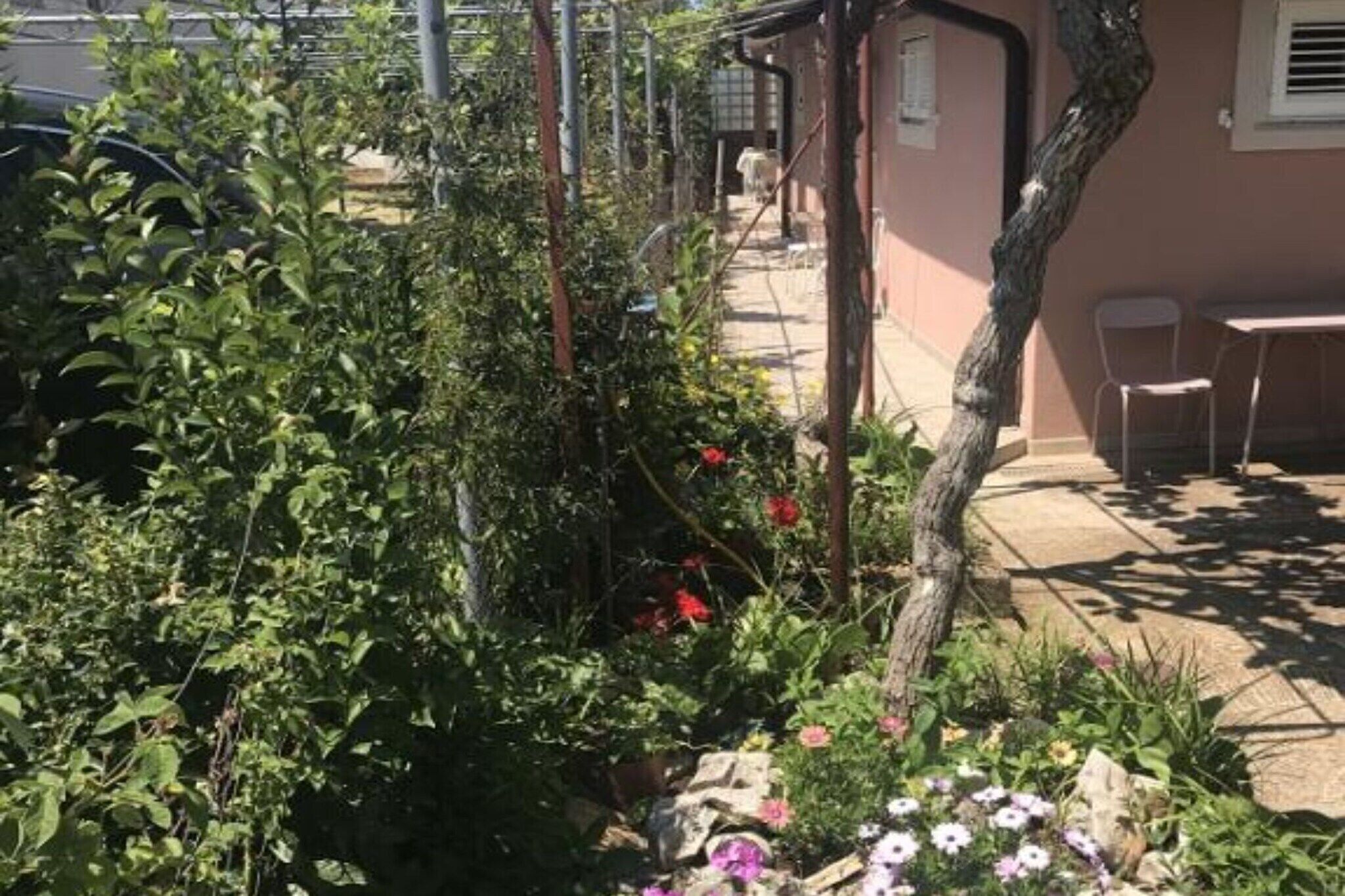 Overnattingsstedets uteområder