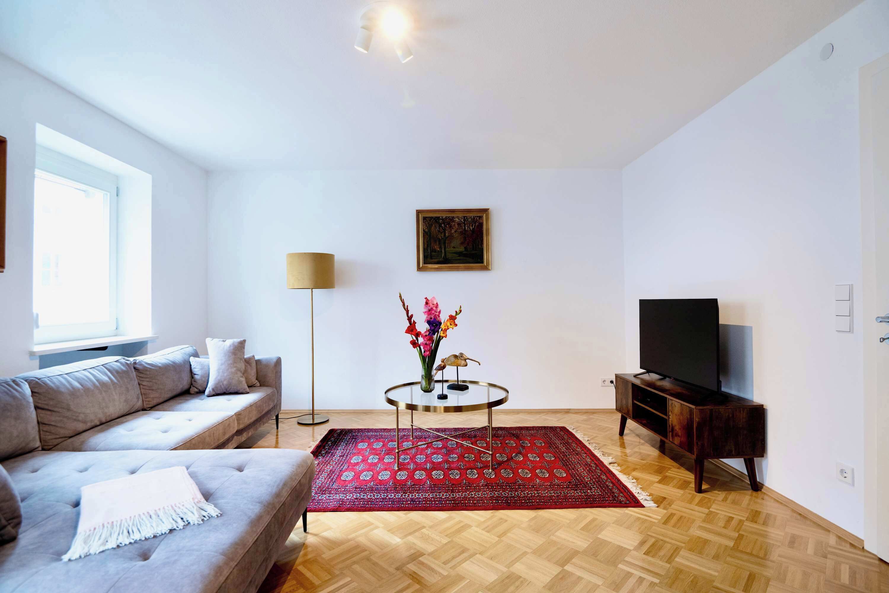 Fernseher, Arbeitsbereiche