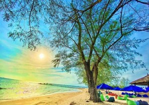 Playa