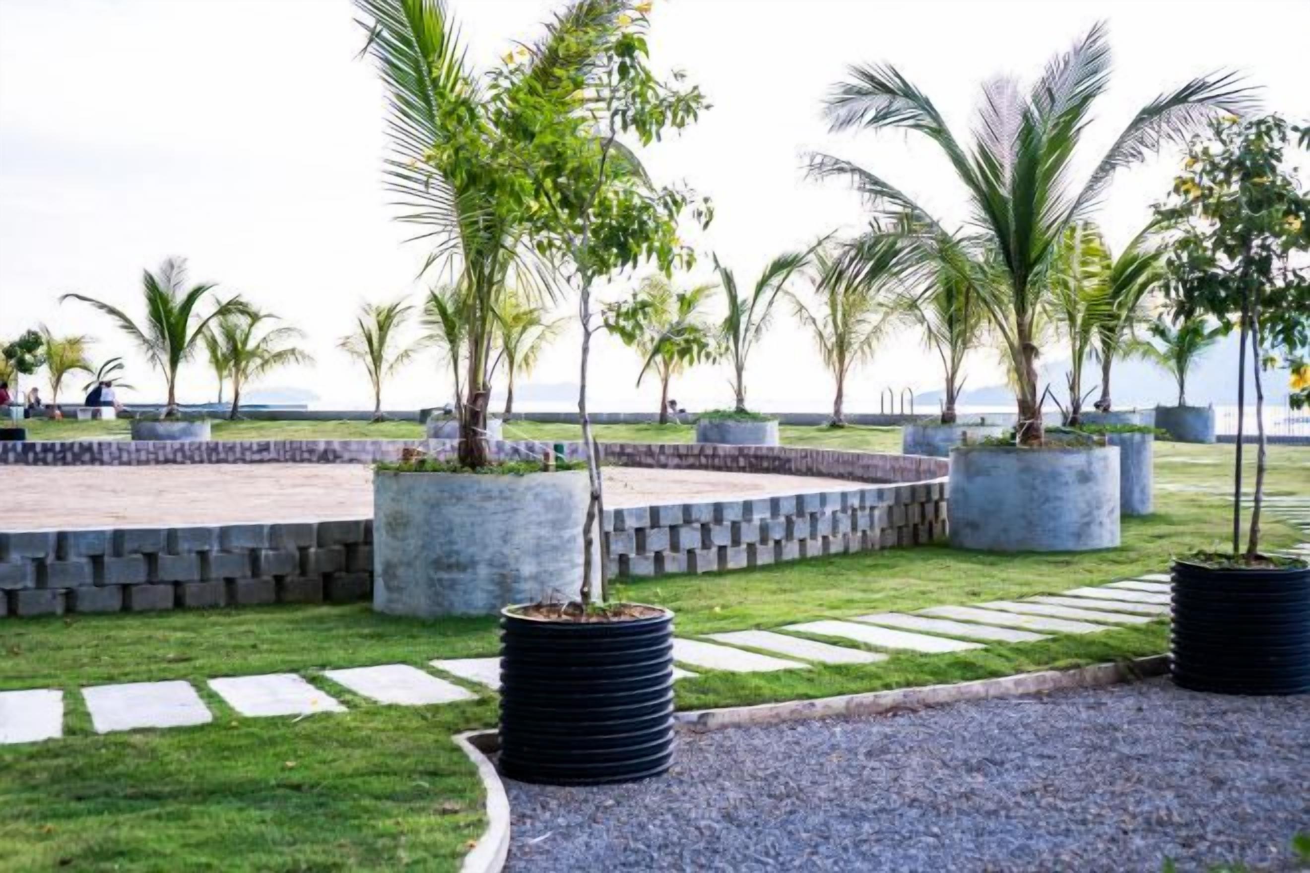 A landscaped area with palm trees, a circular seating area, and a pathway.