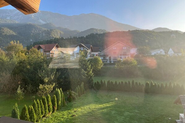 المنطقة المحيطة بالمنشأة