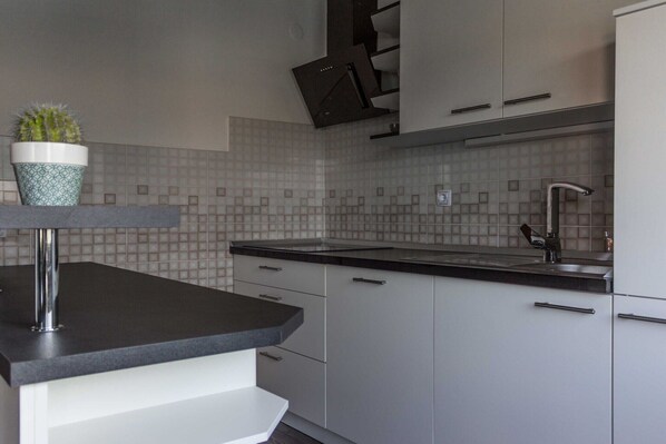 Fridge, oven, stovetop, dishwasher