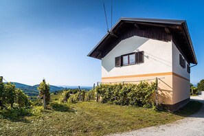 Terrain de l’hébergement 