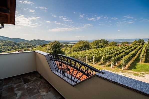 Terrain de l’hébergement 