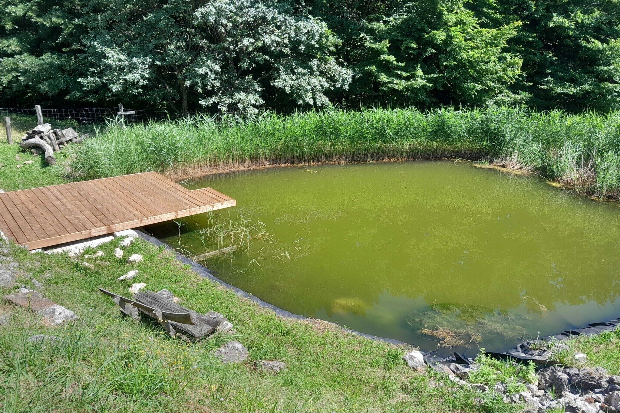 المنطقة المحيطة بالمنشأة