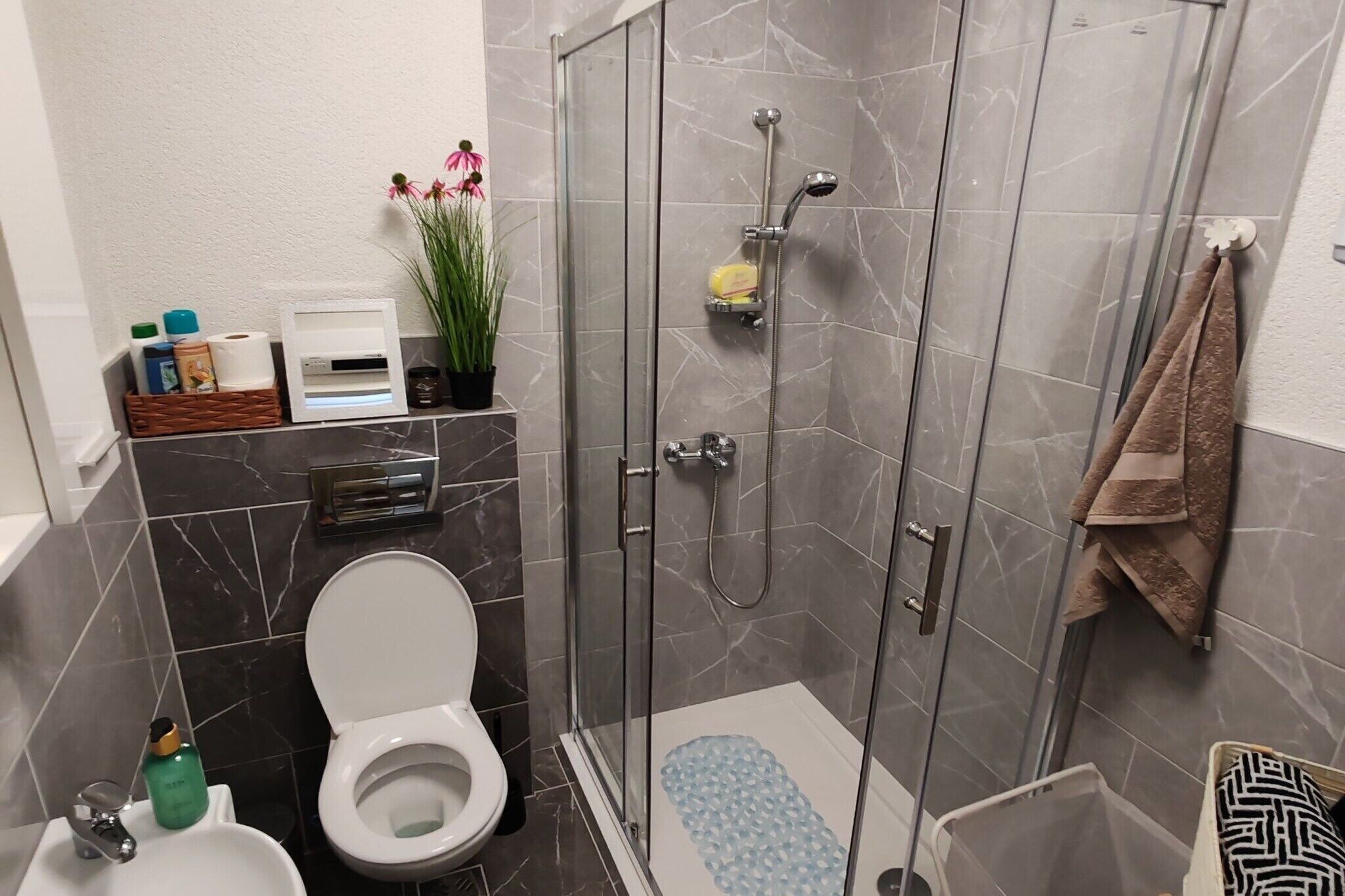 Shower, hair dryer