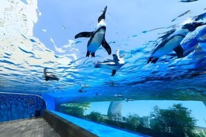 Miscellaneous - Lumine Ikebukuro (Tokyo)