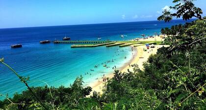 Surfers Paradise Ramey, Aguadilla