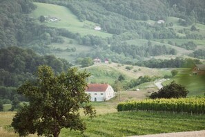 Exterior - Cozy Holiday Home in Bistrica (Bistrica ob Sotli)