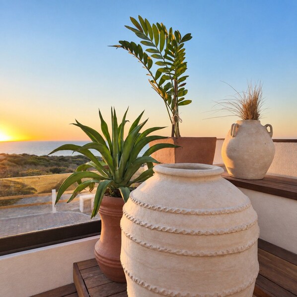 A terrace with a view of the sunset, a potted plant, and a decorative vase.