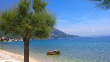 Una playa con agua cristalina, un árbol y un promontorio rocoso.